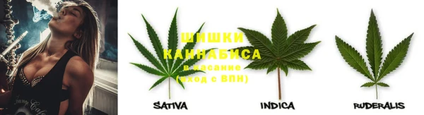 не бодяженный Иннополис