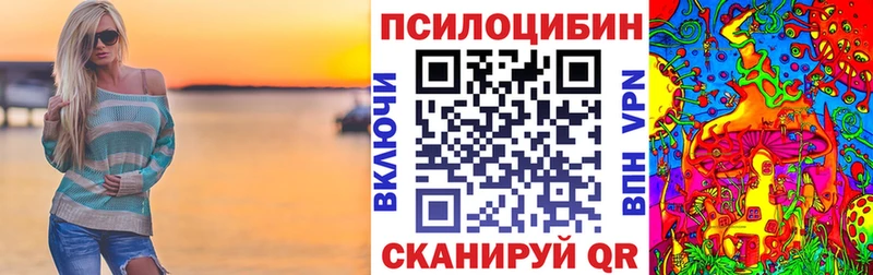 кракен зеркало  Новохопёрск  Галлюциногенные грибы Psilocybe 